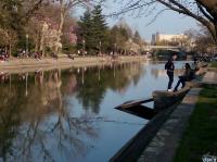 Imagine atasata: tim.sct.bega - 20.mar.16 - 056.jpg